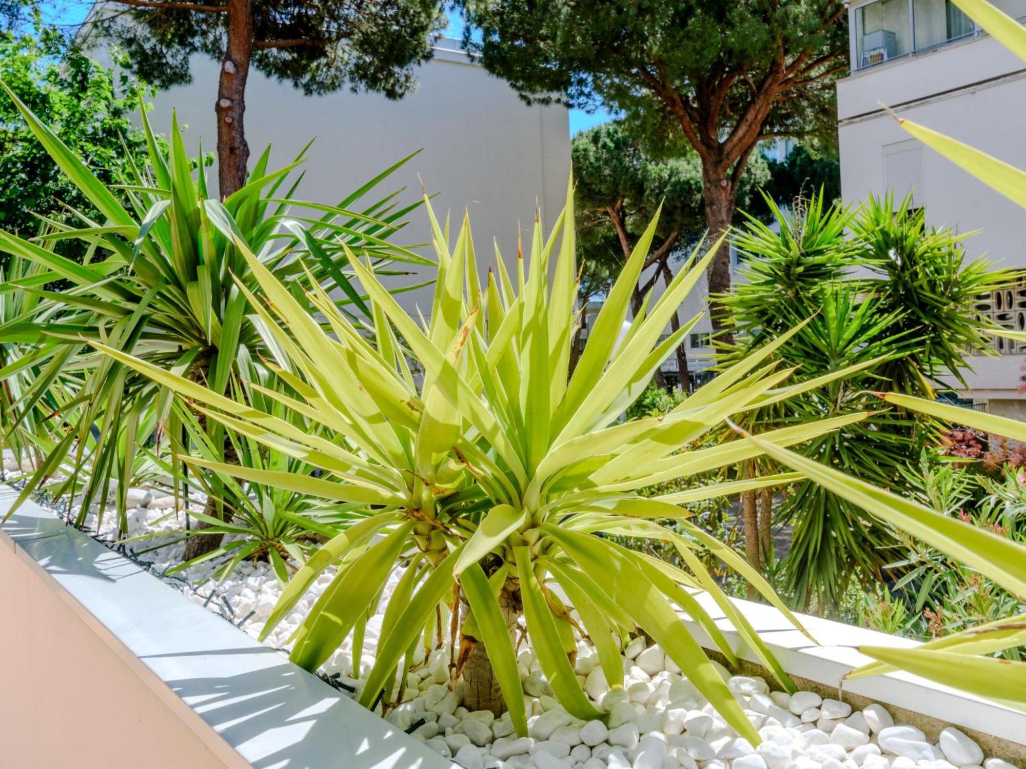 Apartment Antinea-4 By Interhome La Grande-Motte Exterior foto